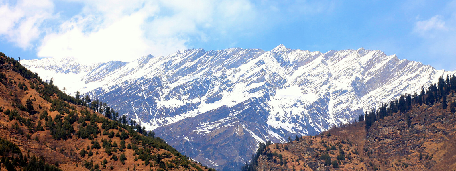 Wooden cottage in Manali EdenHomes